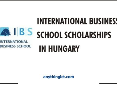 International Business School Scholarships in Hungary